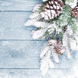 Зима 2026: женская одежда Каталог женской одежды сезона Зима 2026