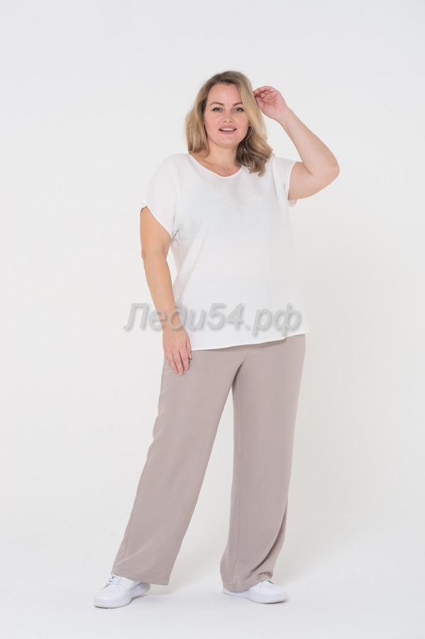 Брюки [Арт. 303-40-2262-54]